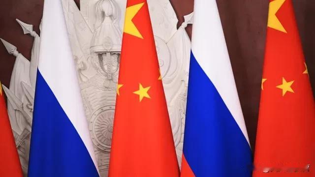 俄罗斯总统负责就实现可持续发展目标与相关国际组织接洽的特别代表鲍里斯·季托夫认为