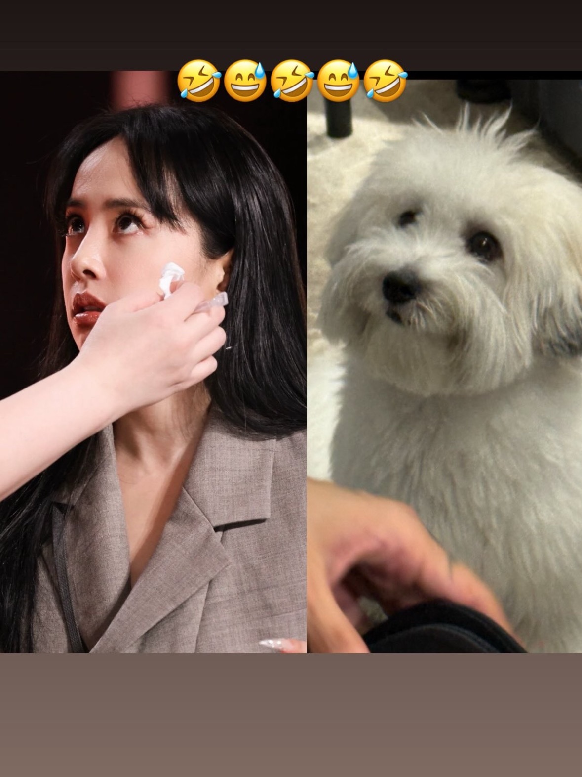 蔡依林喜欢吃香菜[开学季] ​​​