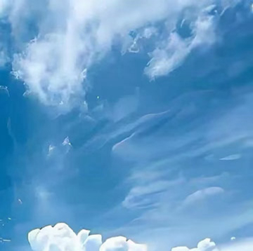 每日一善   每日一善  阳光信用 善良是一束美丽的玫瑰，当你赠送他人时，也为你