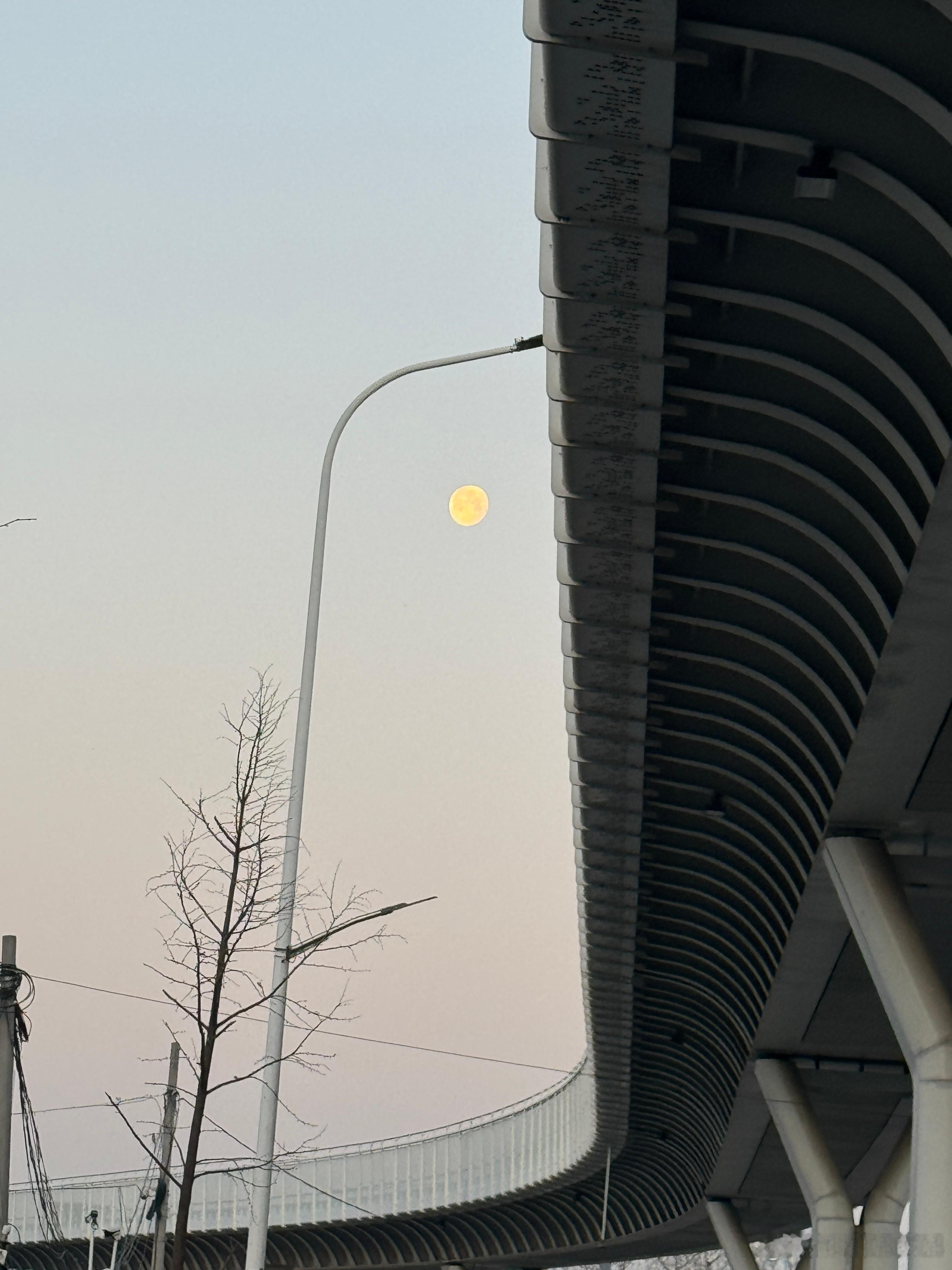 女老板开宝马住豪宅超市偷牛奶你也是优秀，难道是九年教育的漏网之鱼?其实都是人，贪