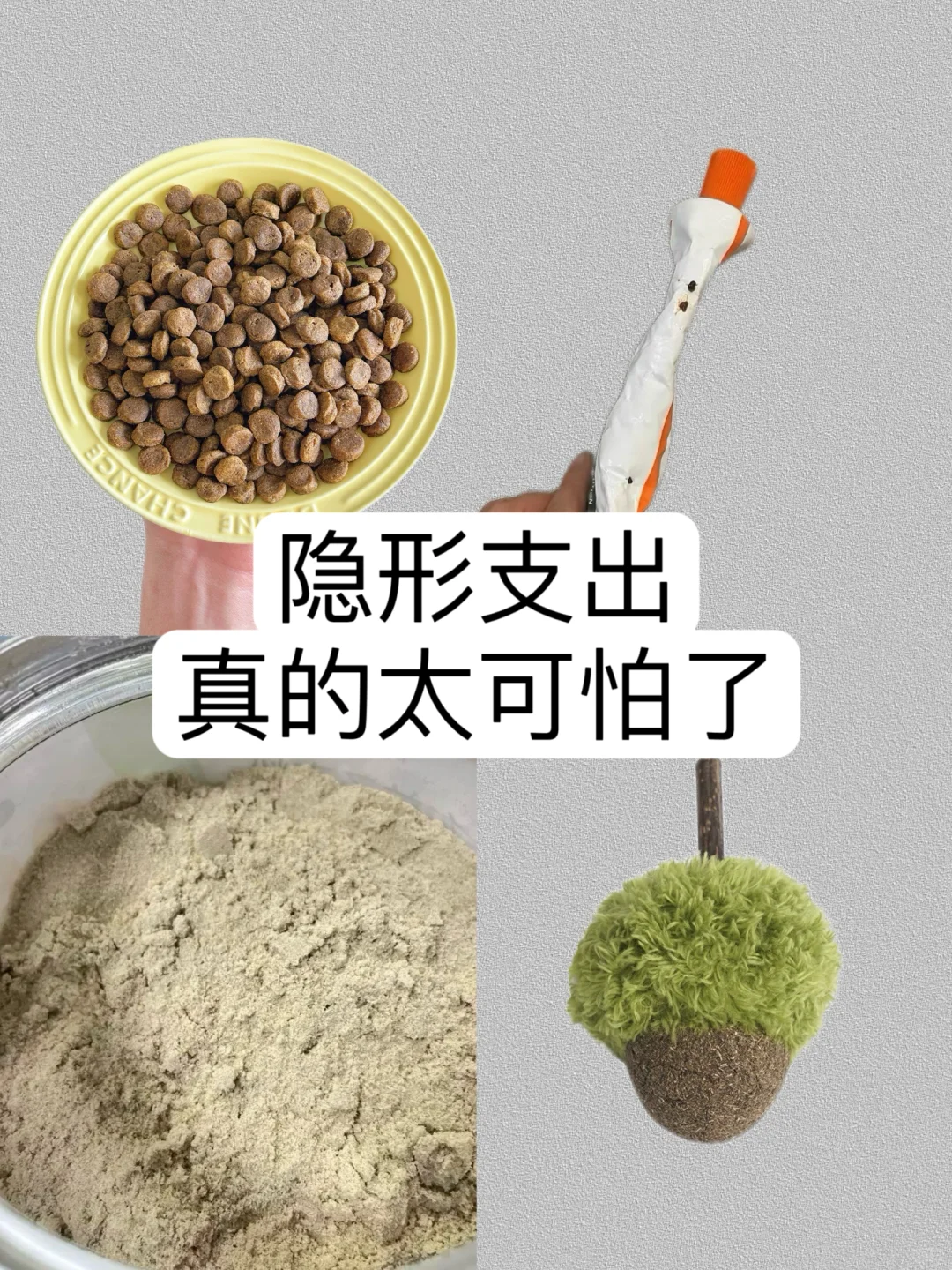一年省下1.2w！别小看养猫隐形支出！