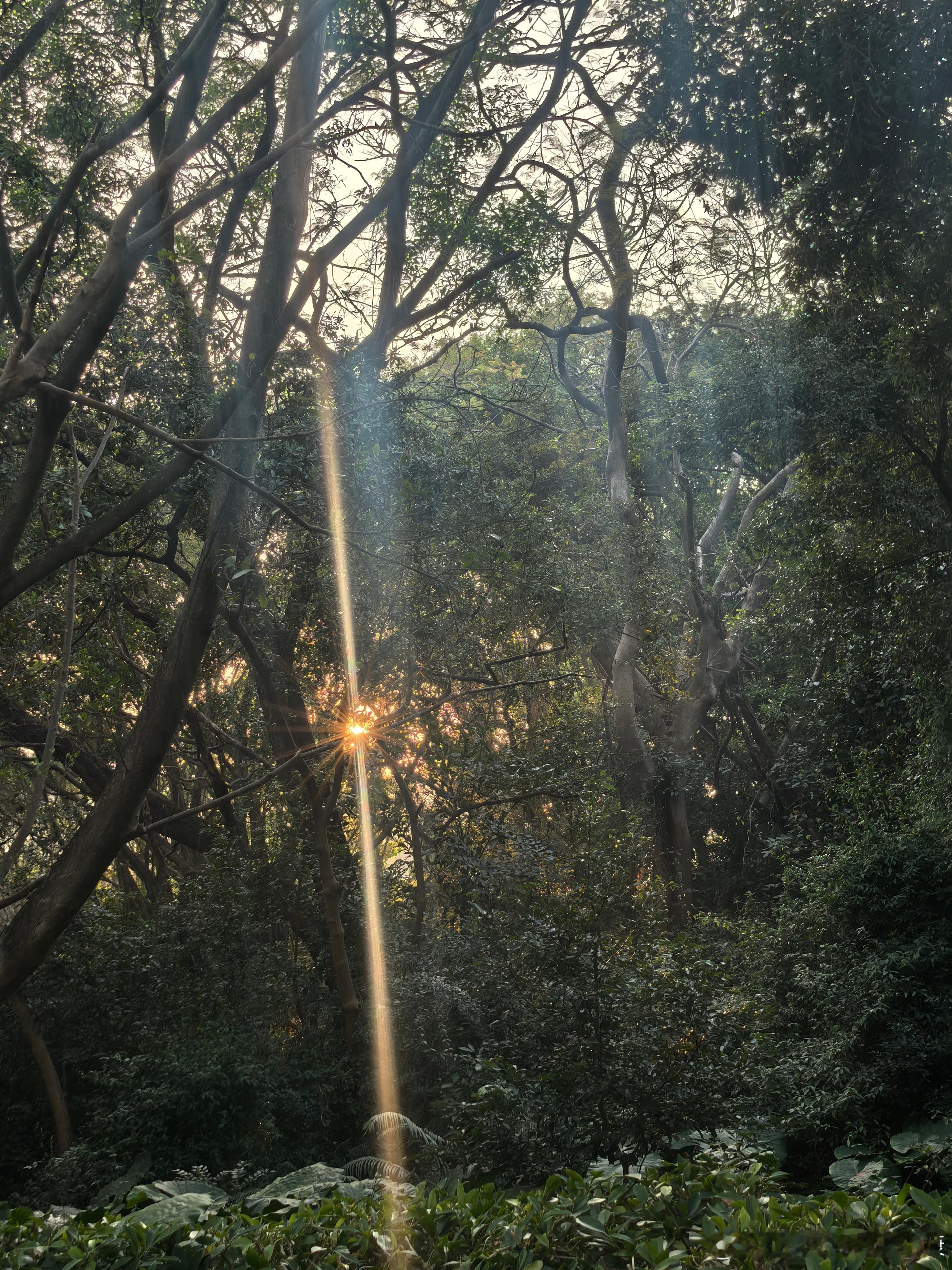 春晚 每年春节，最开心的不是享受假期，而是假期前夕，就是知道再过半个月左右就可以