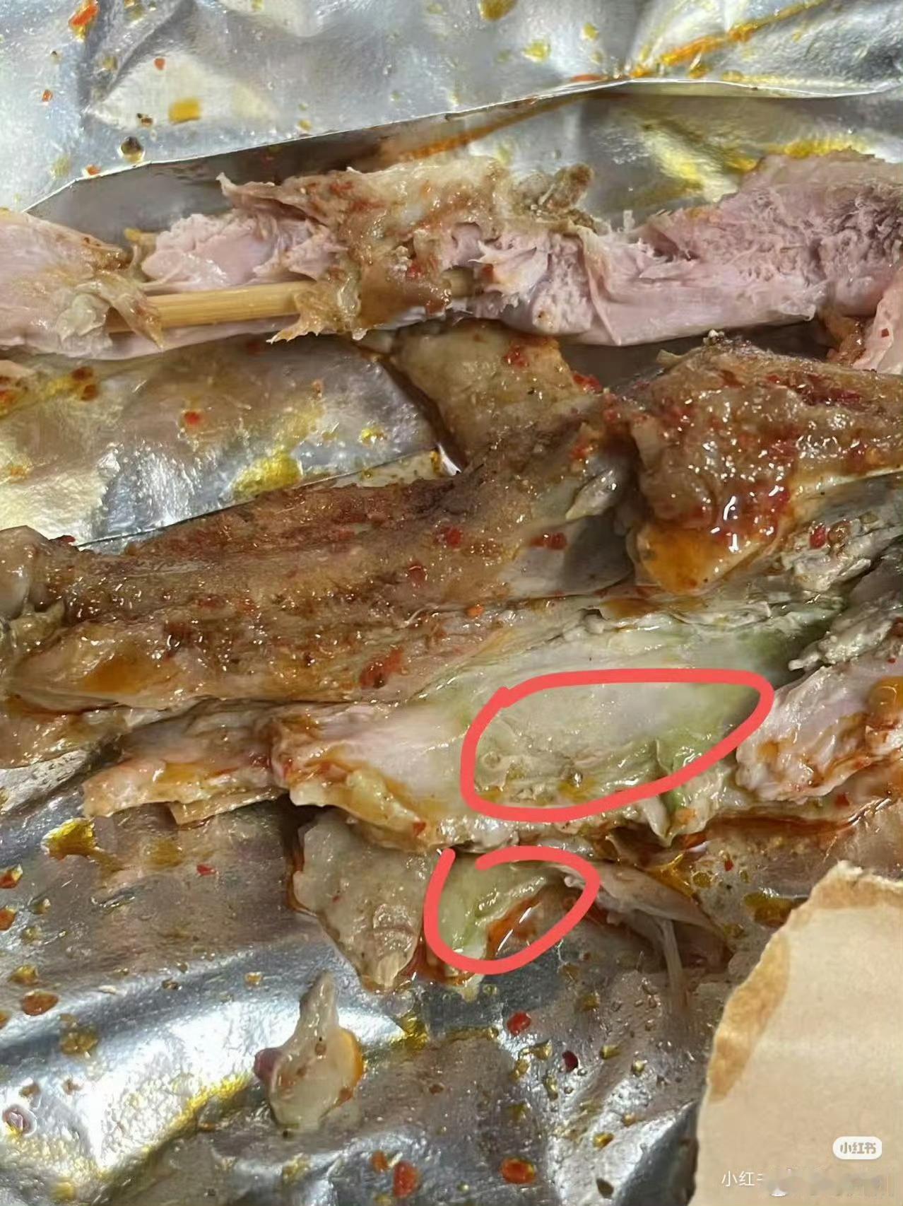 大学生真的很单纯，但这也不是大学生应该被骗的理由，真的太过分了……指着绿色菌群说