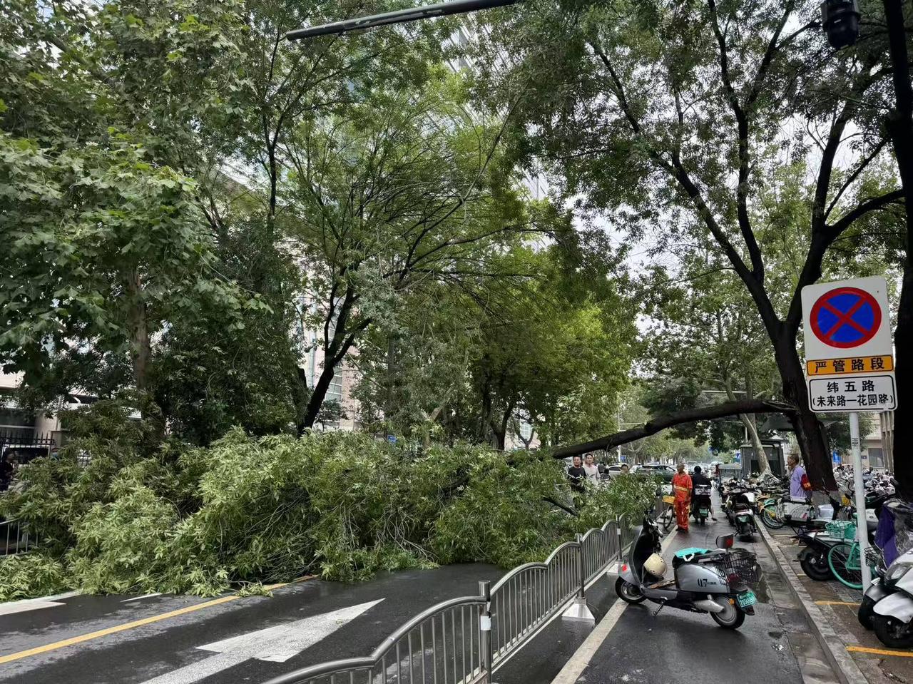 一场雨给出行带来了很多影响，下雨天车子不要停在树下