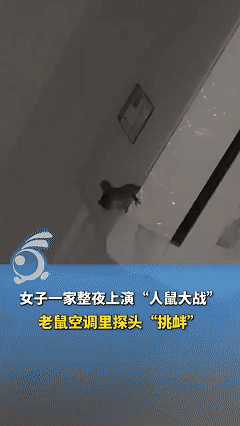 笑不活了！近日广东广州，夜晚女子家的空调中出现异响，女子刚想检查，抬头一看被吓了