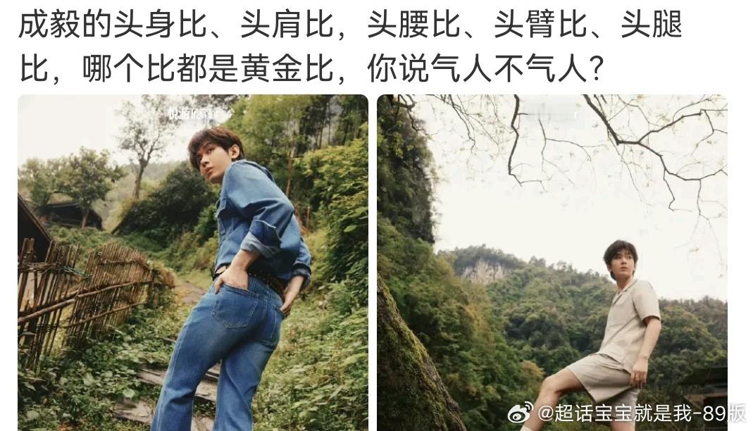 哪个够得上黄金比例了？咋的还能睁着眼睛说瞎话呢～笑丝宝宝了