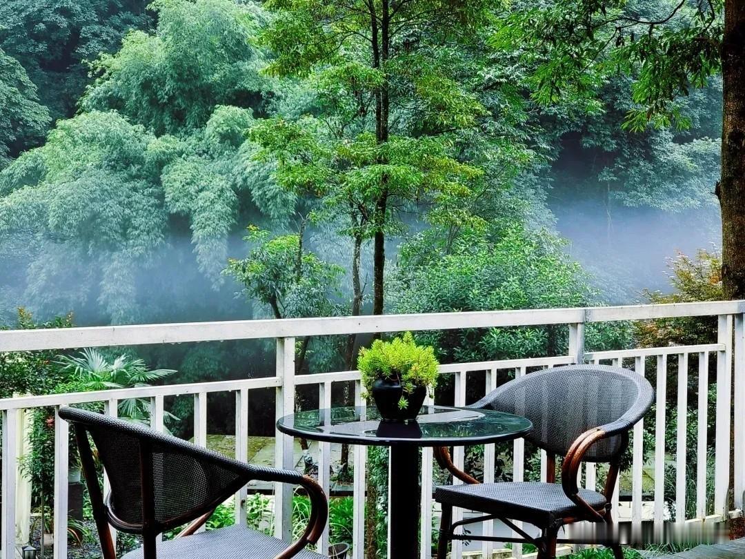 森林氧吧“洗肺”之旅

· 湖北·来凤：拥有“中国天然氧吧”称号，是藤茶的世界之