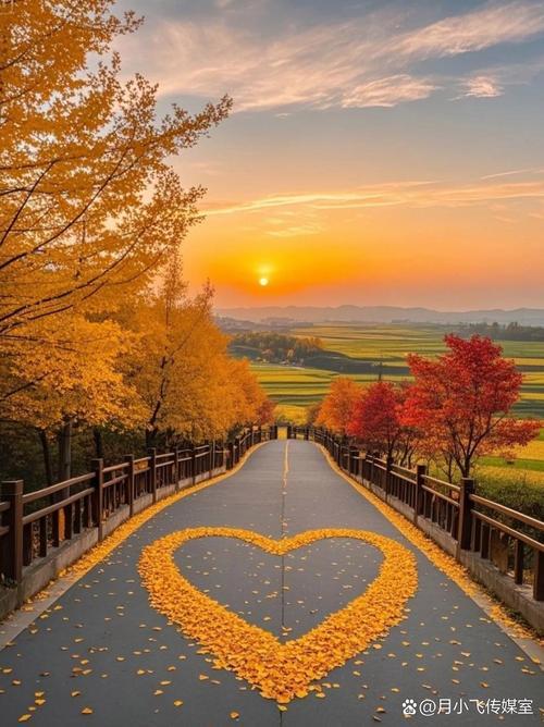 头条创作圈藏着怪现象：精心打磨的优质内容可能无人问津，随手写写的文字反倒能赚收益