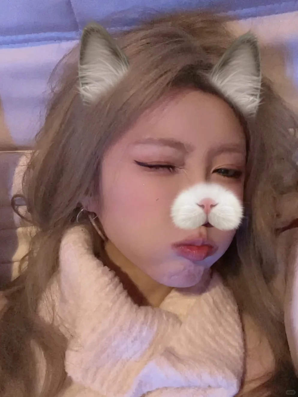 🐱