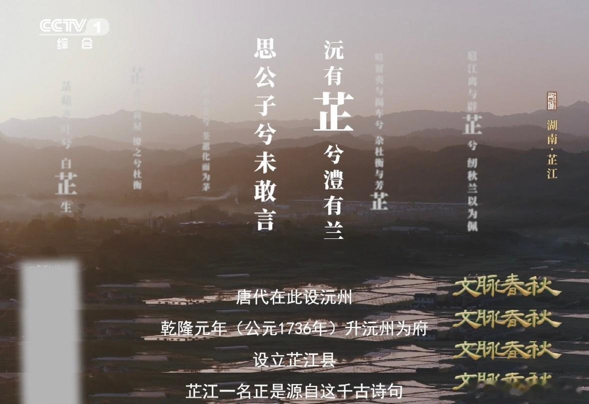 不起眼的小草是湖南灵魂香料湖南有座城因屈原诗句得名 从屈原行吟沅水，到如今的非遗