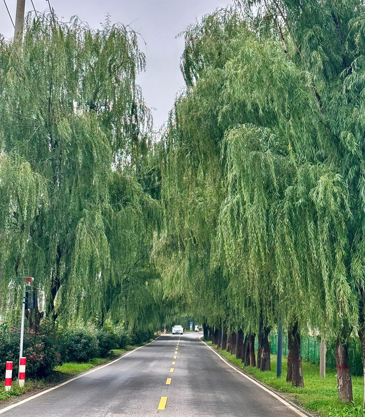 生活成本最小的模式就是：在一个地方长期持续稳定的工作和生活，有一套或一套以上的自