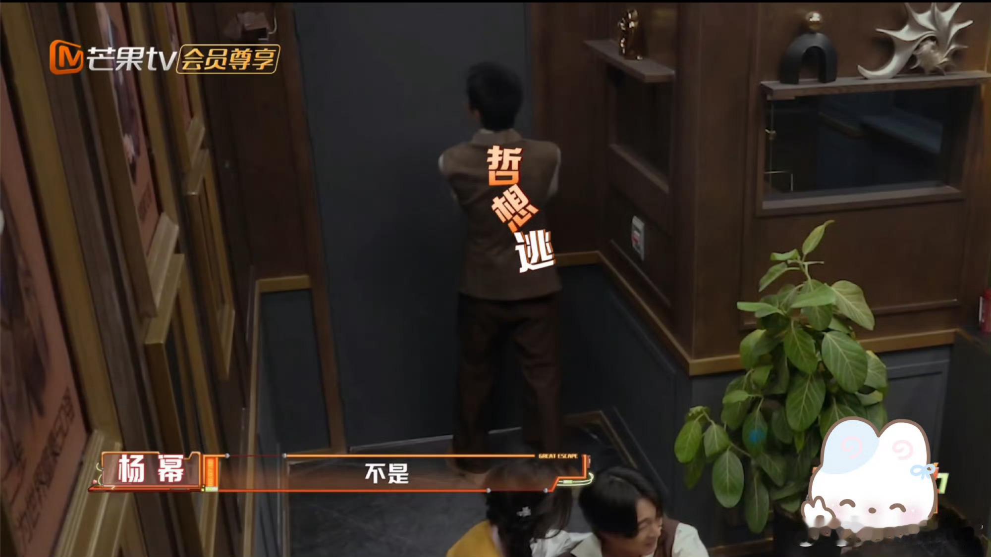 杨幂张宥浩给陈哲远演怕了