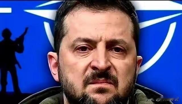 3个隐藏条件曝光：泽连斯基撤军提议藏着多少无奈？
 
2025年末，泽连斯基突然