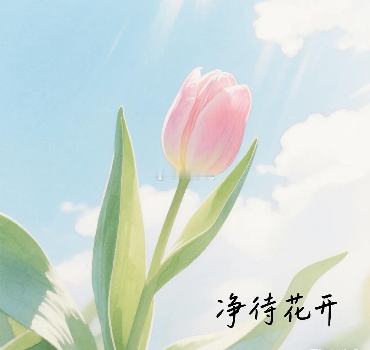 12月2日早评：一、昨日市场延续反弹，沪指重新站上3900点，深成指、创业板均涨