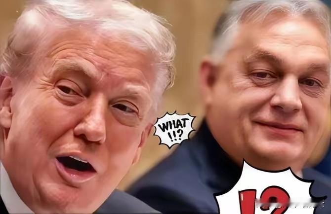 红军城丢失后，

法国总统马克龙、
德国总理默茨、英国首相斯塔默匆忙赶赴
基辅与