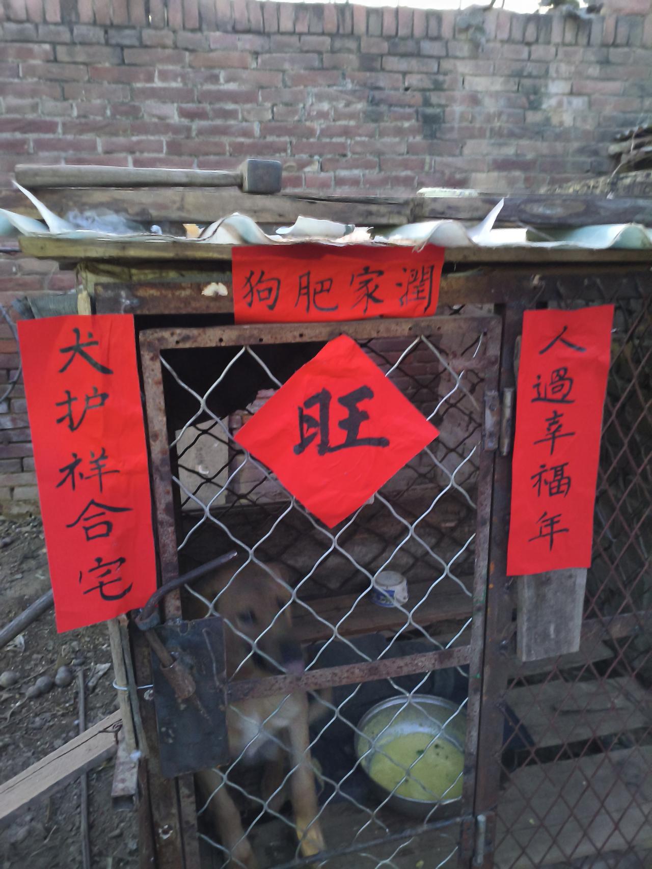 今天这一天，真是绝了。啥正事儿都没干，就围着三顿饭打转。早上睡个懒觉起来，慢悠悠