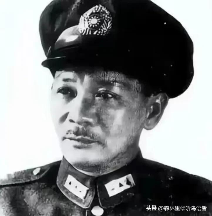 1992年，张发奎的骨灰被护送回到广东始兴老家安葬。这场归乡仪式，让更多人重新审