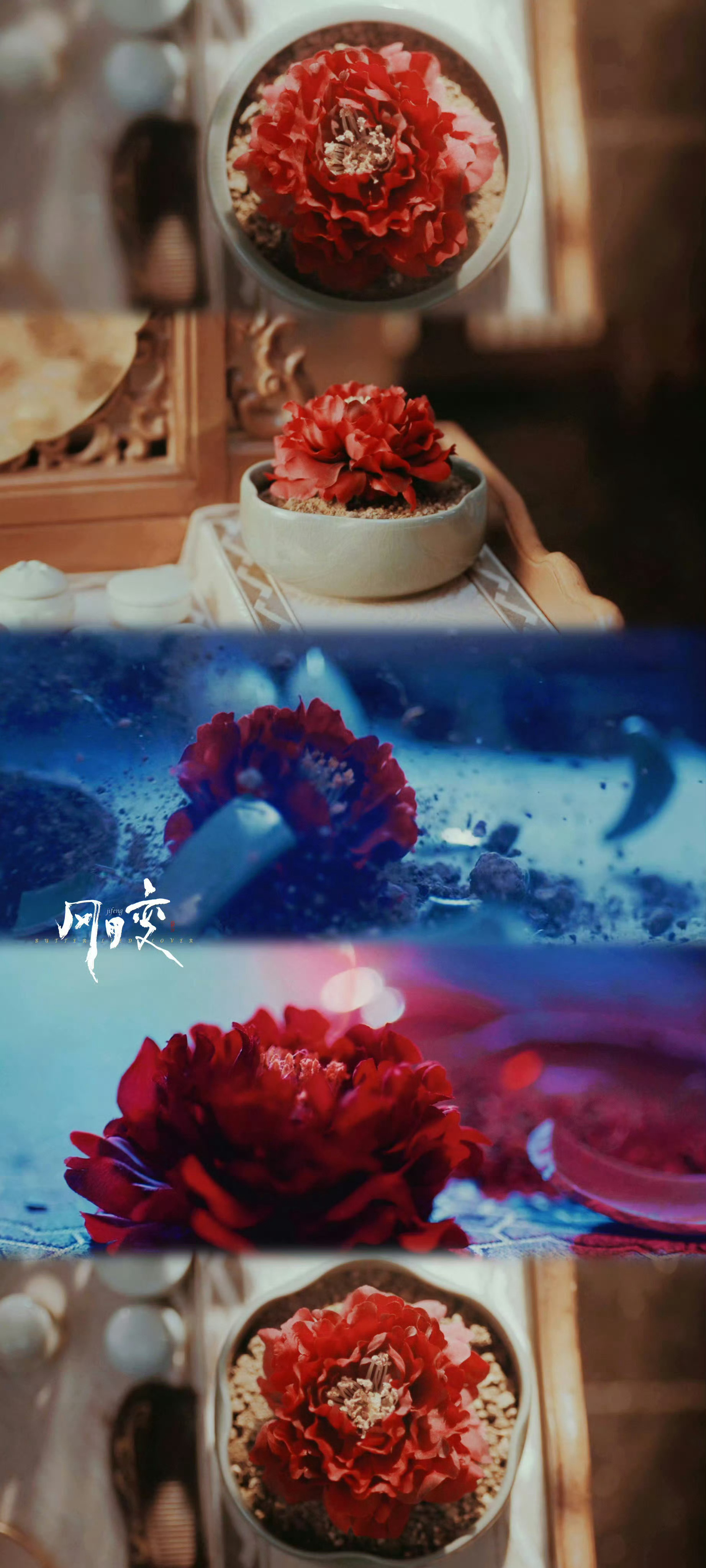 观剧有感：        对郭四拍感情线的镜头和曾庆杰拍感情线的镜头进行初步对比