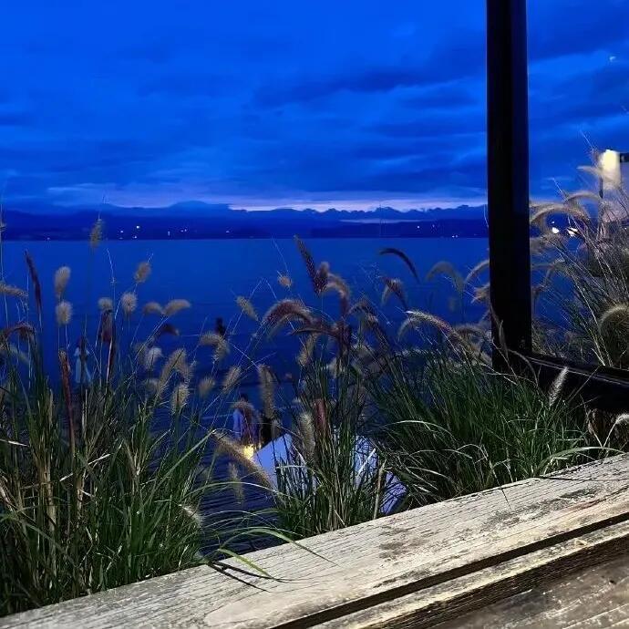 错过的流星不再让我叹息，因为我明白夜空还有无数璀璨的可能 