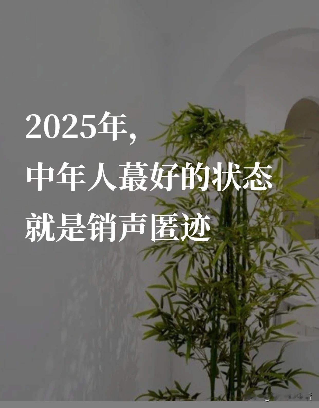 2025年，中年人很好状态就是销声匿迹
四十多年走来，
最近在公众号里看到好文章