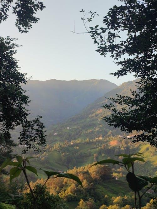 上个月去苏州吴中区办事，特意绕去太湖边的东蔡村，见到了70岁的蔡阿婆，还有回乡创