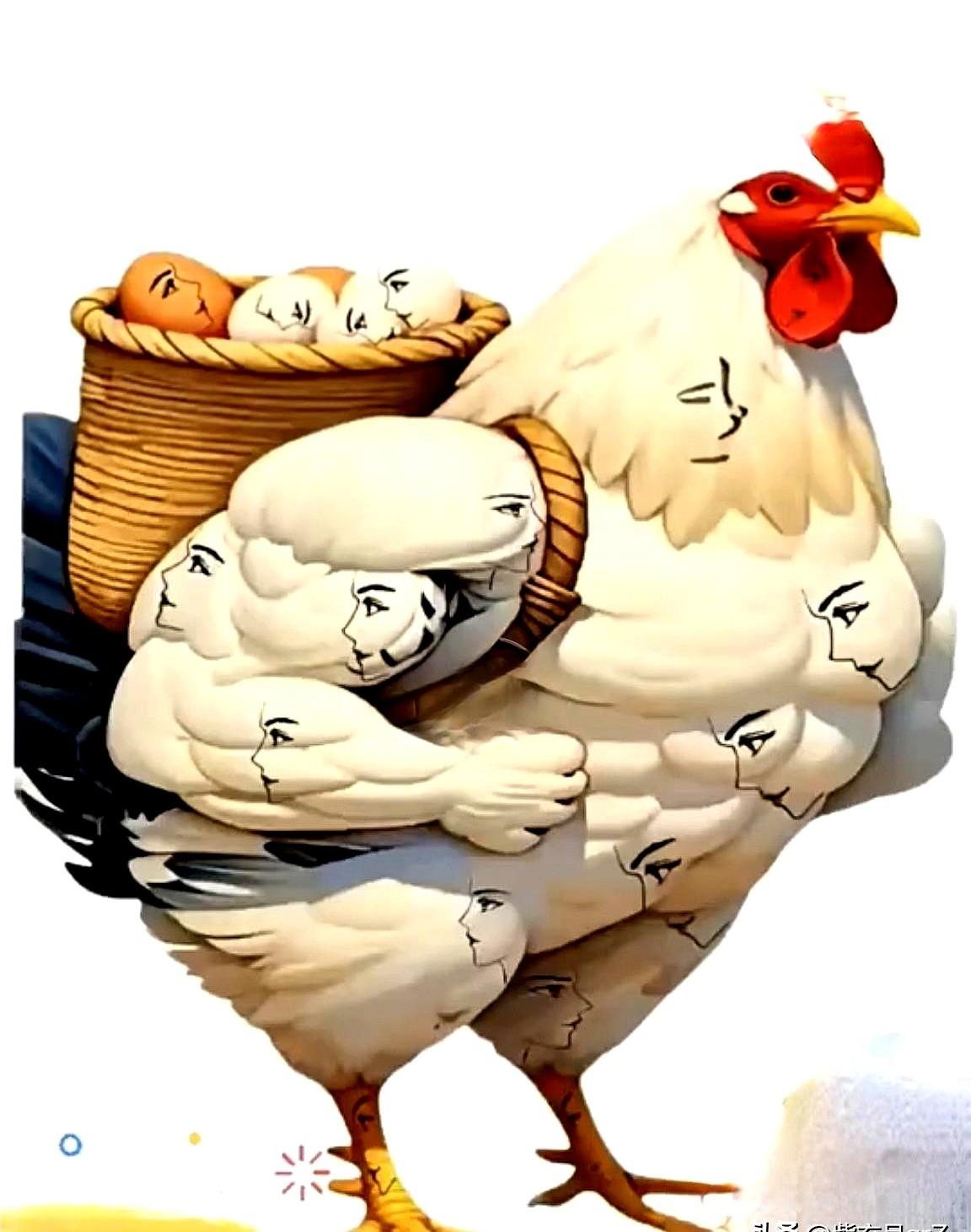 火爆的眼力测试题分享下图中是一只肌肉健壮的大公鸡，
我那从不服老的老李，今天直接