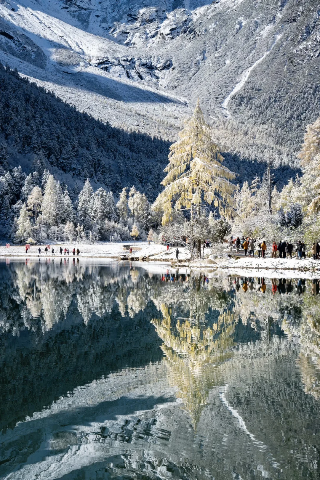雪后的川西秋景，真的是人在画中游！