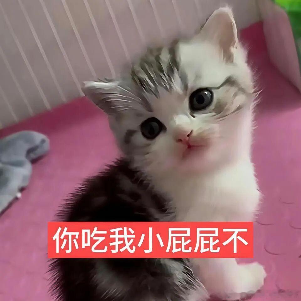 分享图片 ​​​