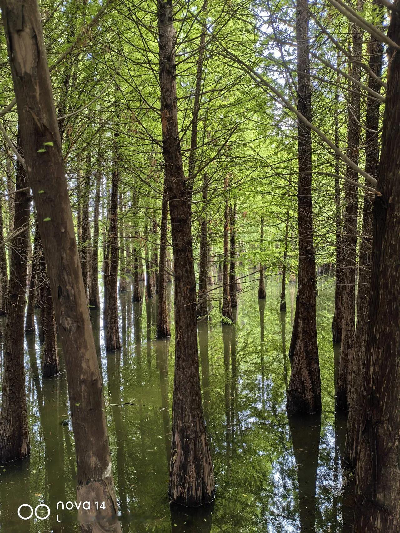 希望昆明滇池边不管到什么时候，都不要被资本圈起来，成为有钱人的后花园。可以成为收