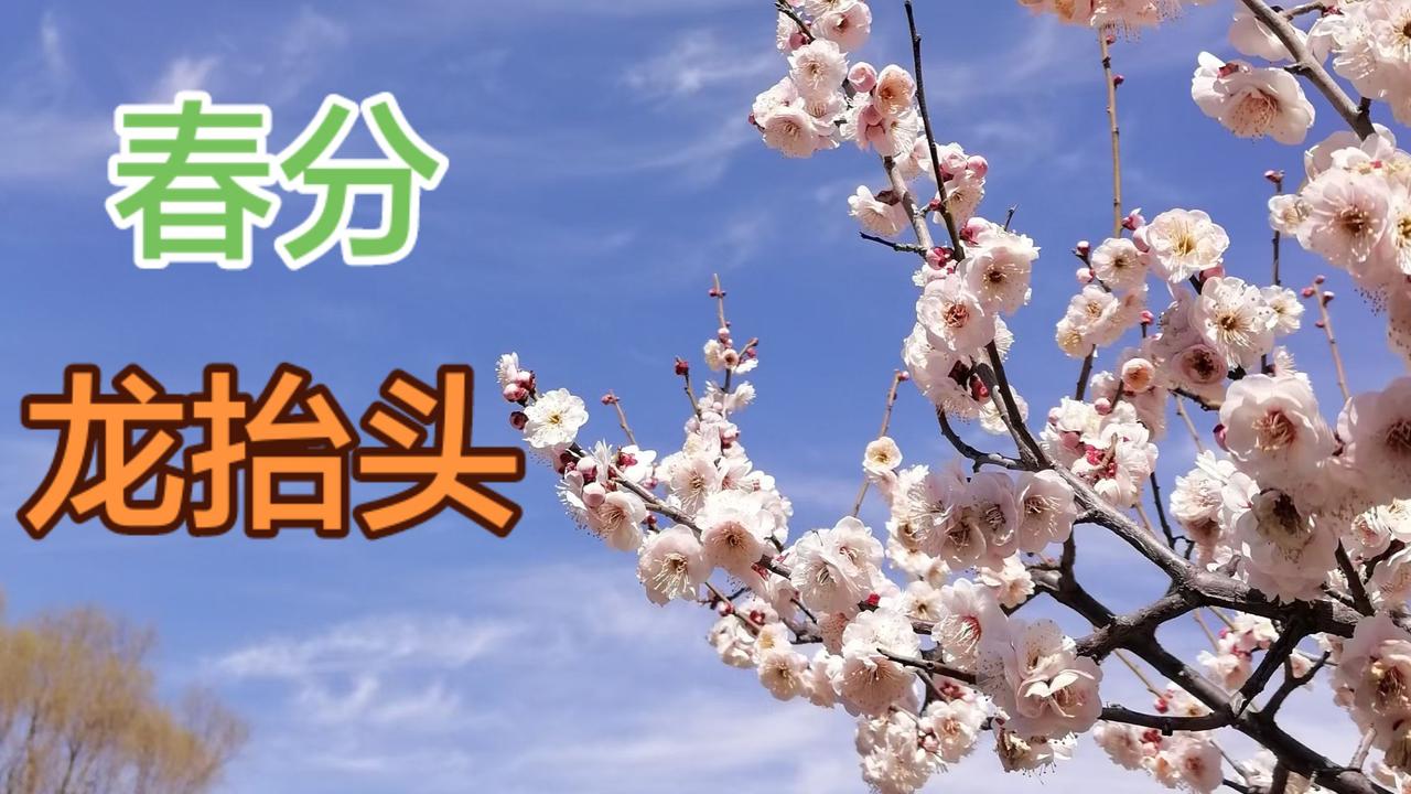 上热门话题 我用摄影看世界 摄影分享 我拍过的治愈风景色 原创