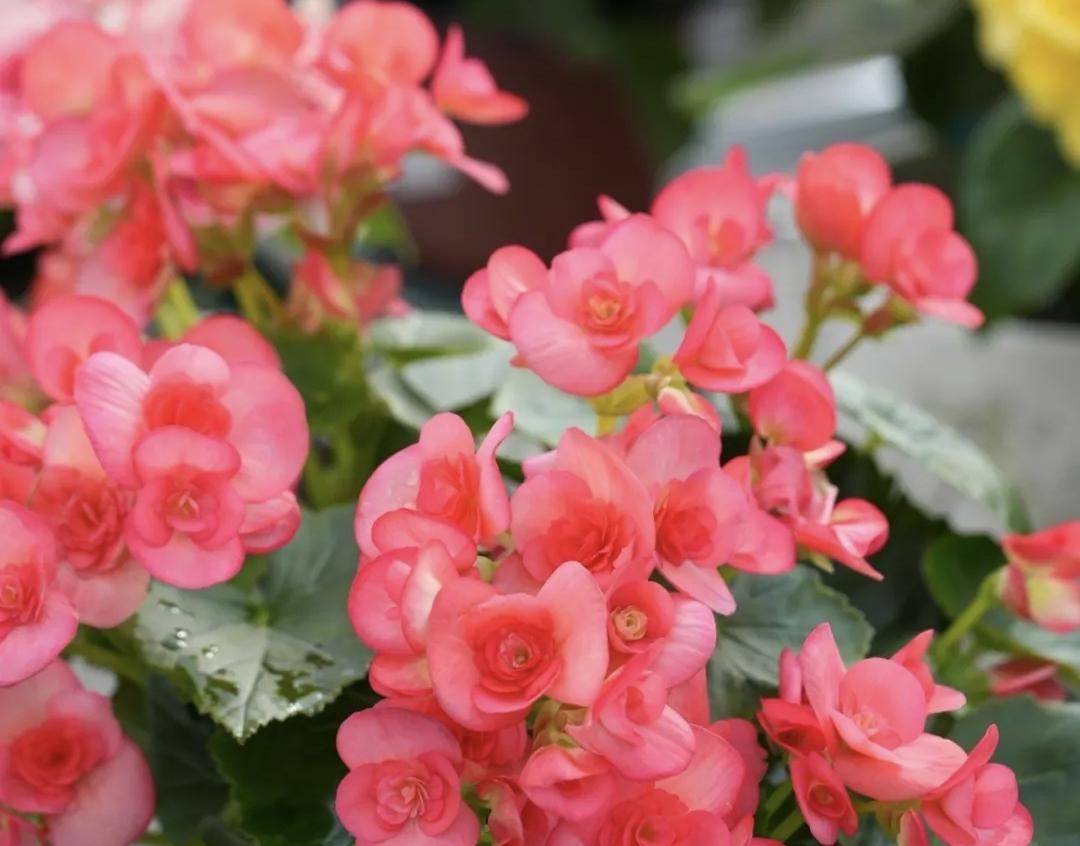 【无论选择怎样的婚姻模式，最终的落脚点都是让自己活得舒服、安心】
       