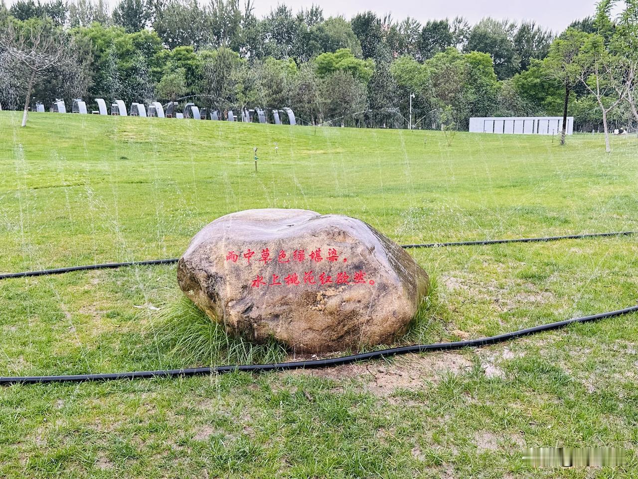 【心生法、法生果】
你的心如果是一个杯子，只能承载一片树叶；
你的心如果是一个池