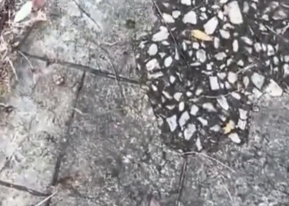 别人父亲出车祸要开车走，你乱停堵住人家的车，还拿被骂说事拒不挪车，要我说不打你都