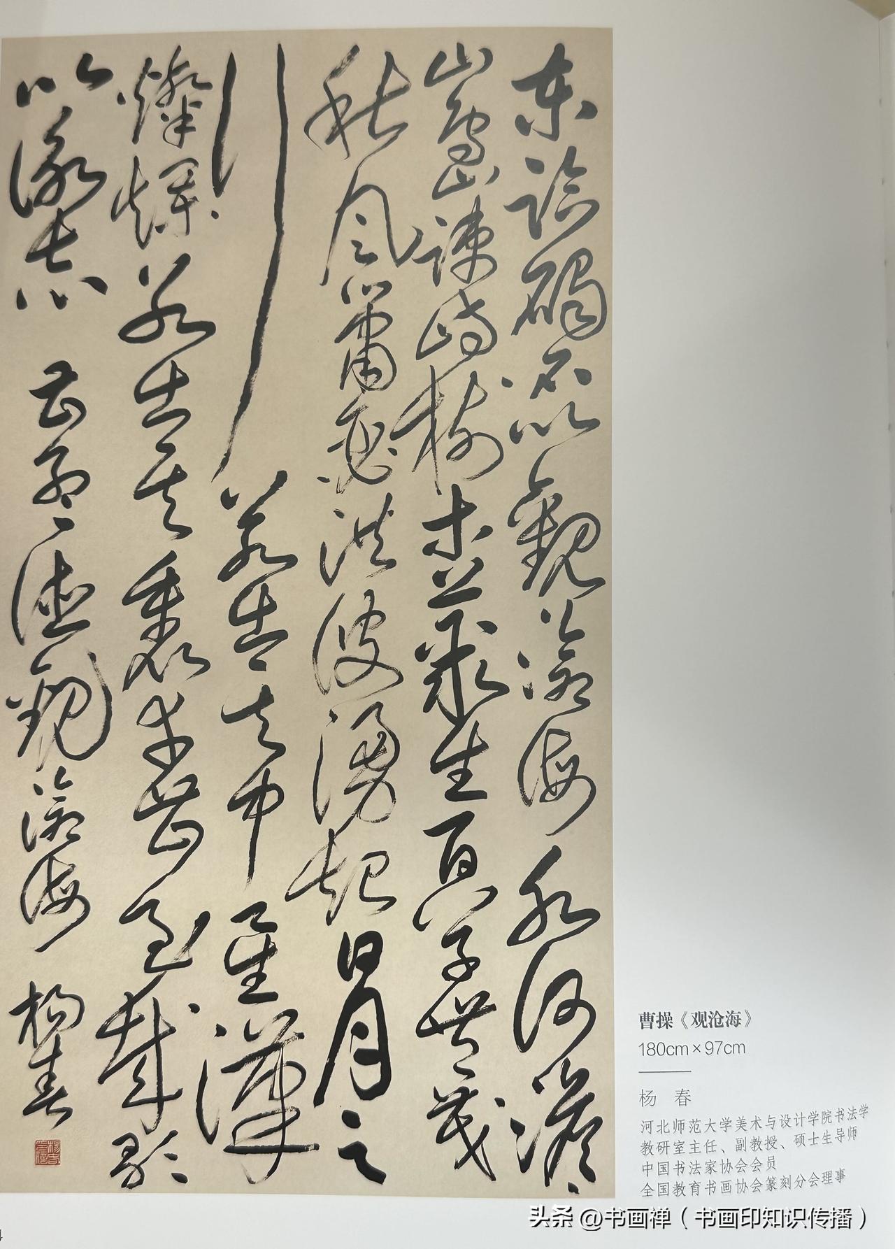 今年逛兰亭双年展，在一众参展作品里一眼就盯住了杨春老师的那幅大草。
整幅作品在众