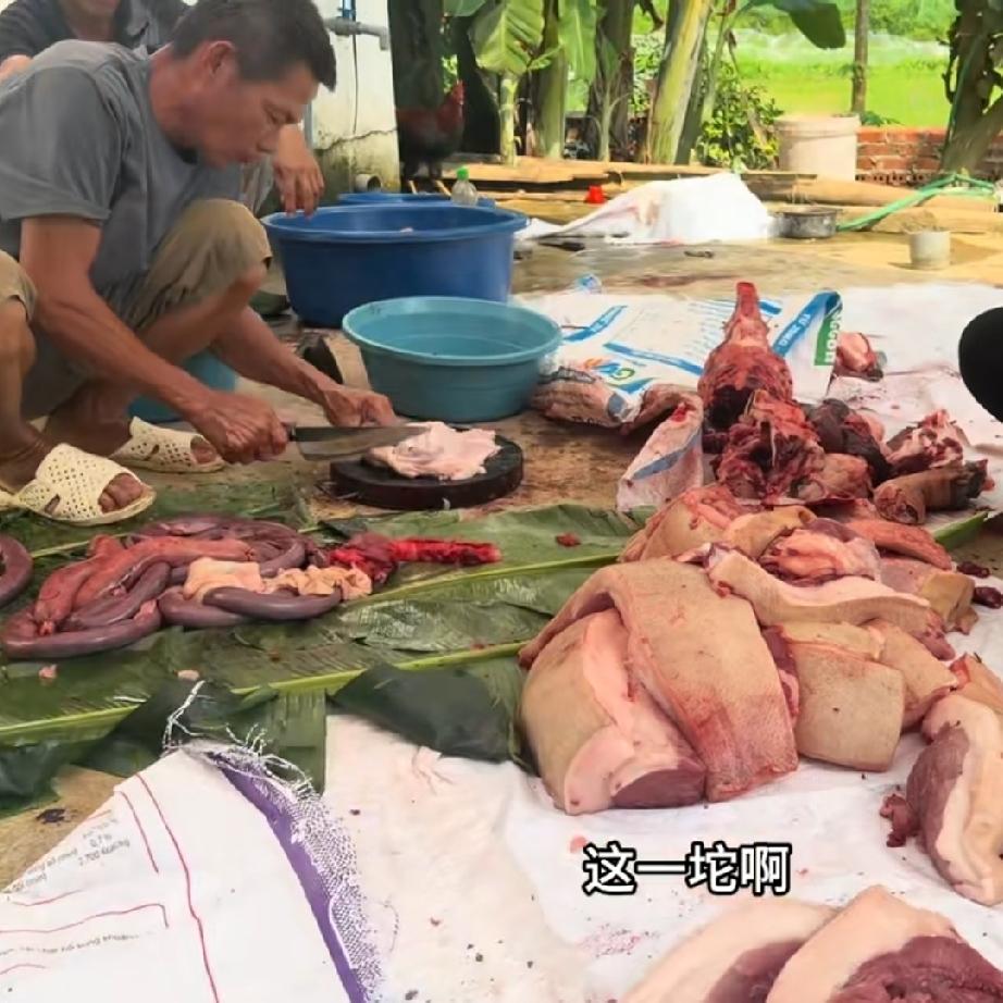 小叔家里杀猪请客吃饭，老丈人拿走了近乎一半儿猪，这只猪有360斤，老丈人有点太贪