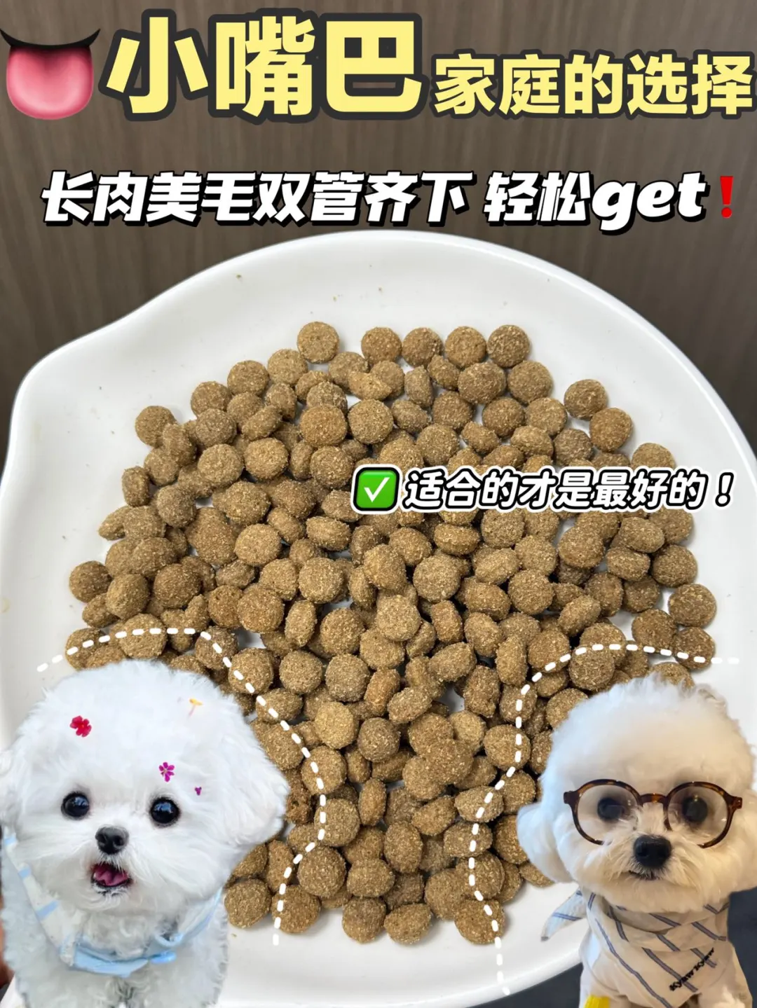 狗狗挑食救星🌟 长肉美毛两手抓！