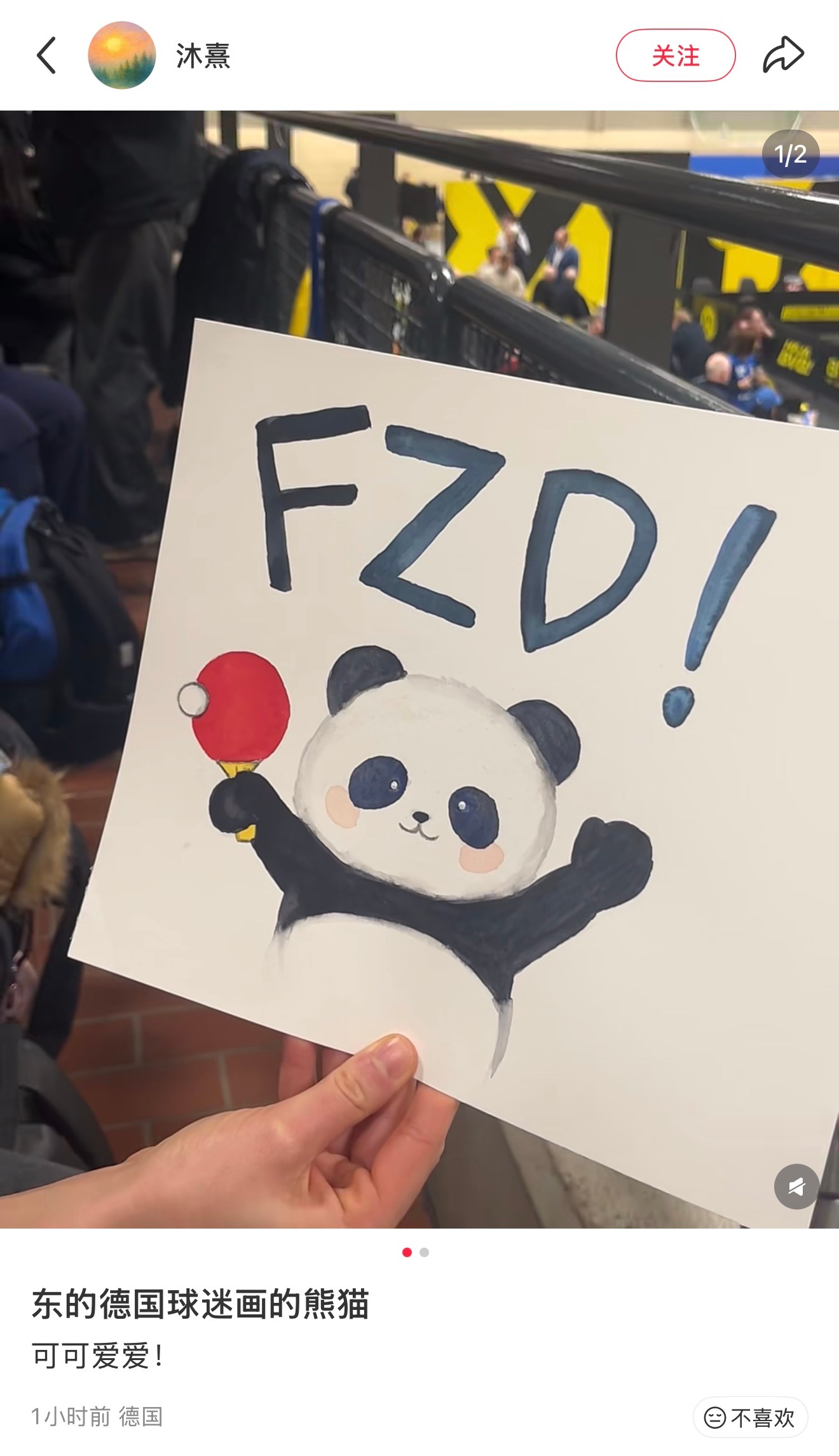 樊振东是🐼全世界都知道了 