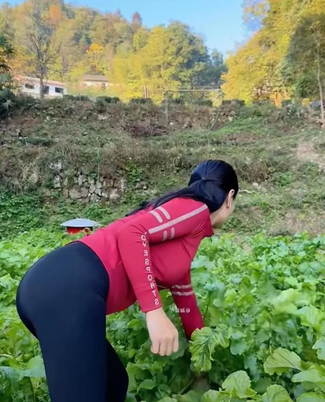 宁静的乡村
