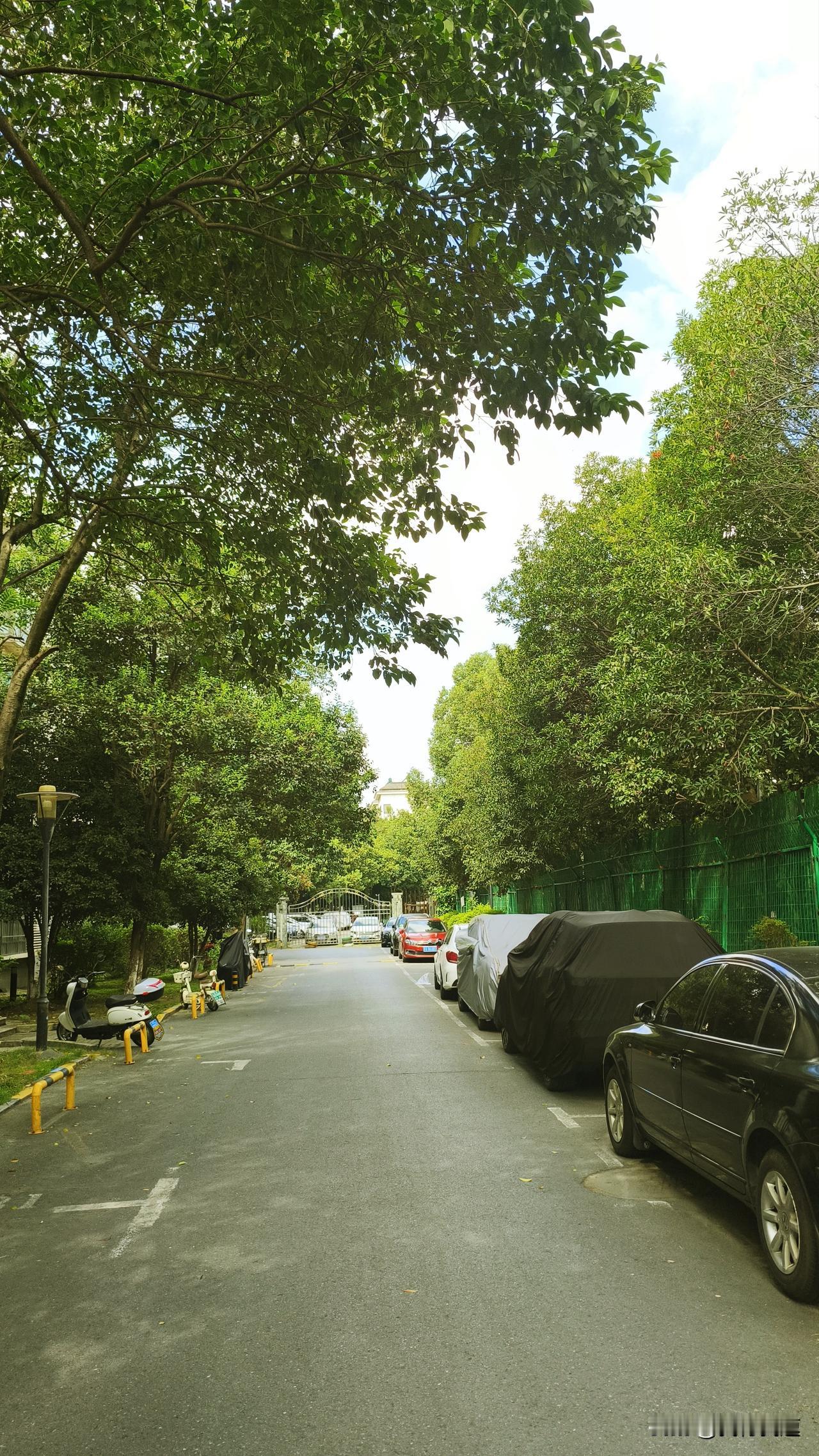 今天早上出门买菜，刚一踏出家门，那热烘烘的气浪就扑面而来。看了眼天气预报，好家伙