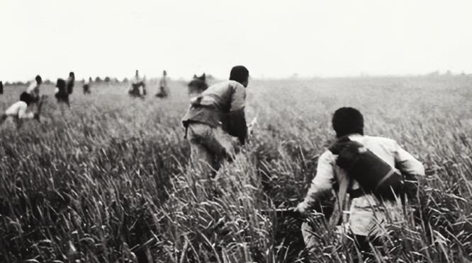 1939年，抗战中，八路军张智忠护送黄金途中遭敌伏击，仅带一位战士突围。不料战士