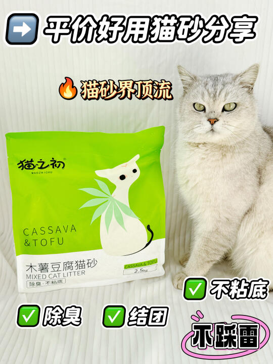 🙅‍♀️拒绝铲💩焦虑😐提升养猫幸福感！