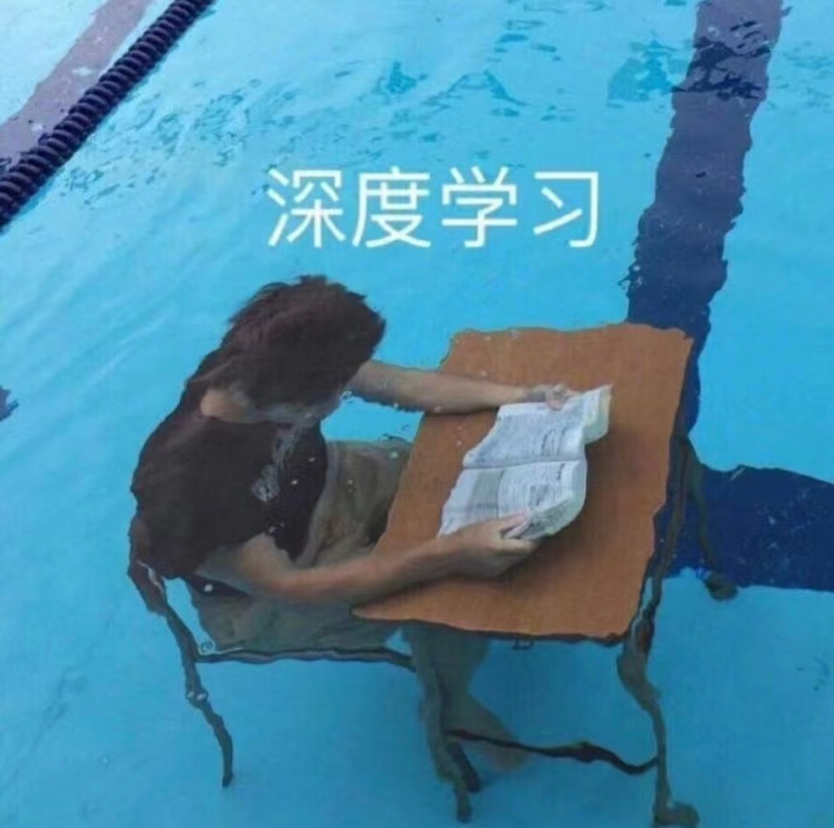【在电子养马场做赛博仓鼠，收藏了，不等于会了！】数字仓鼠指的是热衷于囤积数字化信