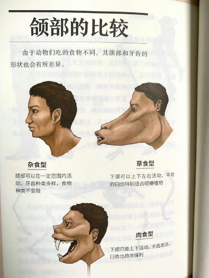 看完这绘本，震惊我全家！ ​ ​​​