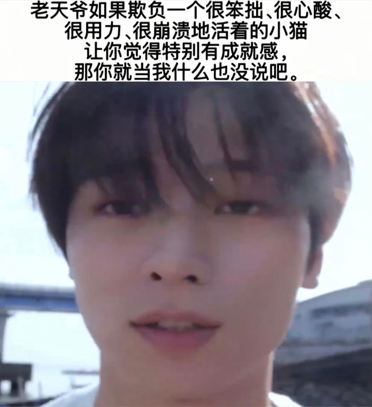 昨天是世界猫猫日我忘记过惹真是不好意思😞其实也没什么好感到抱歉的 毕竟我又不是