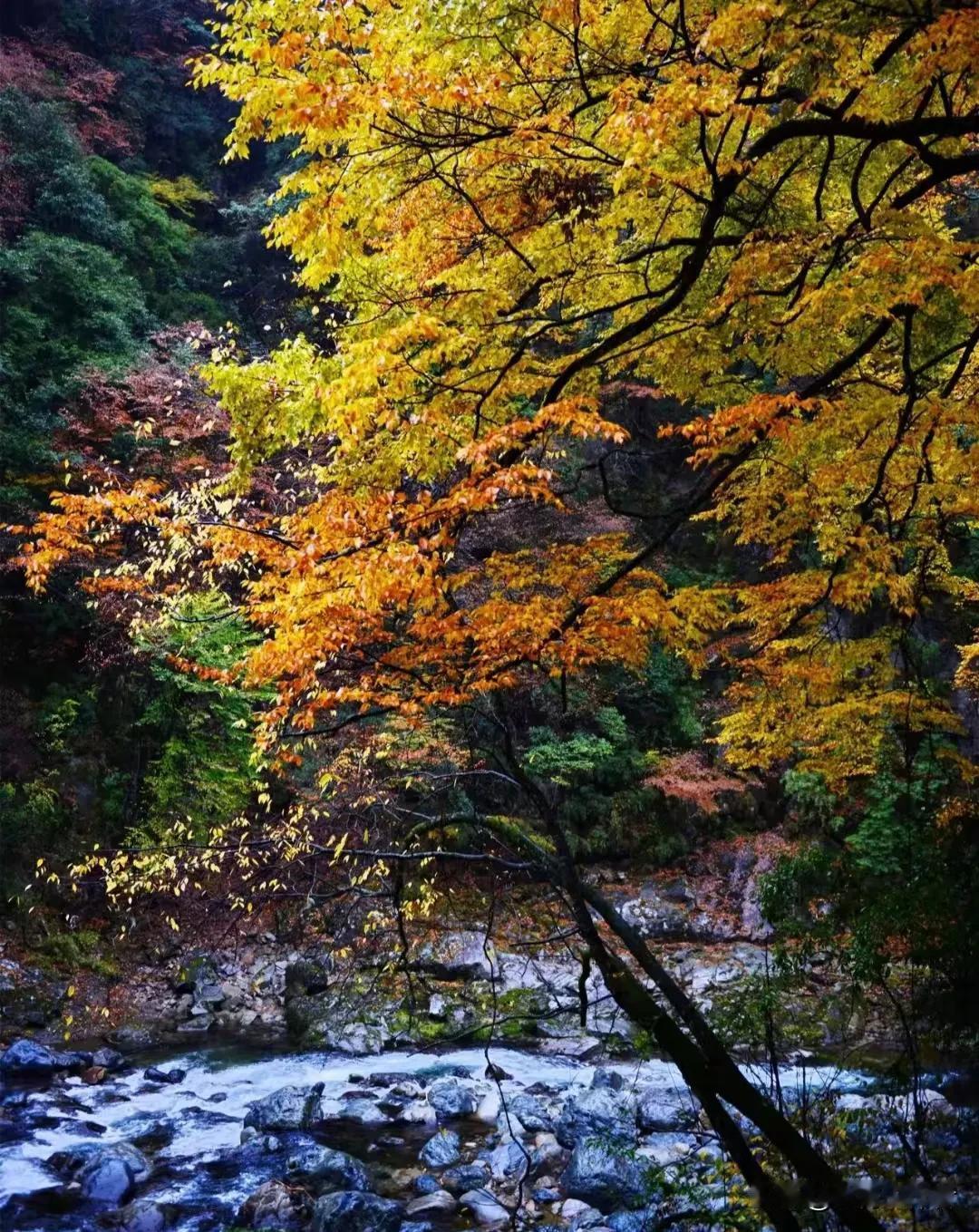 秋水共长天一色。汉中高山秋景