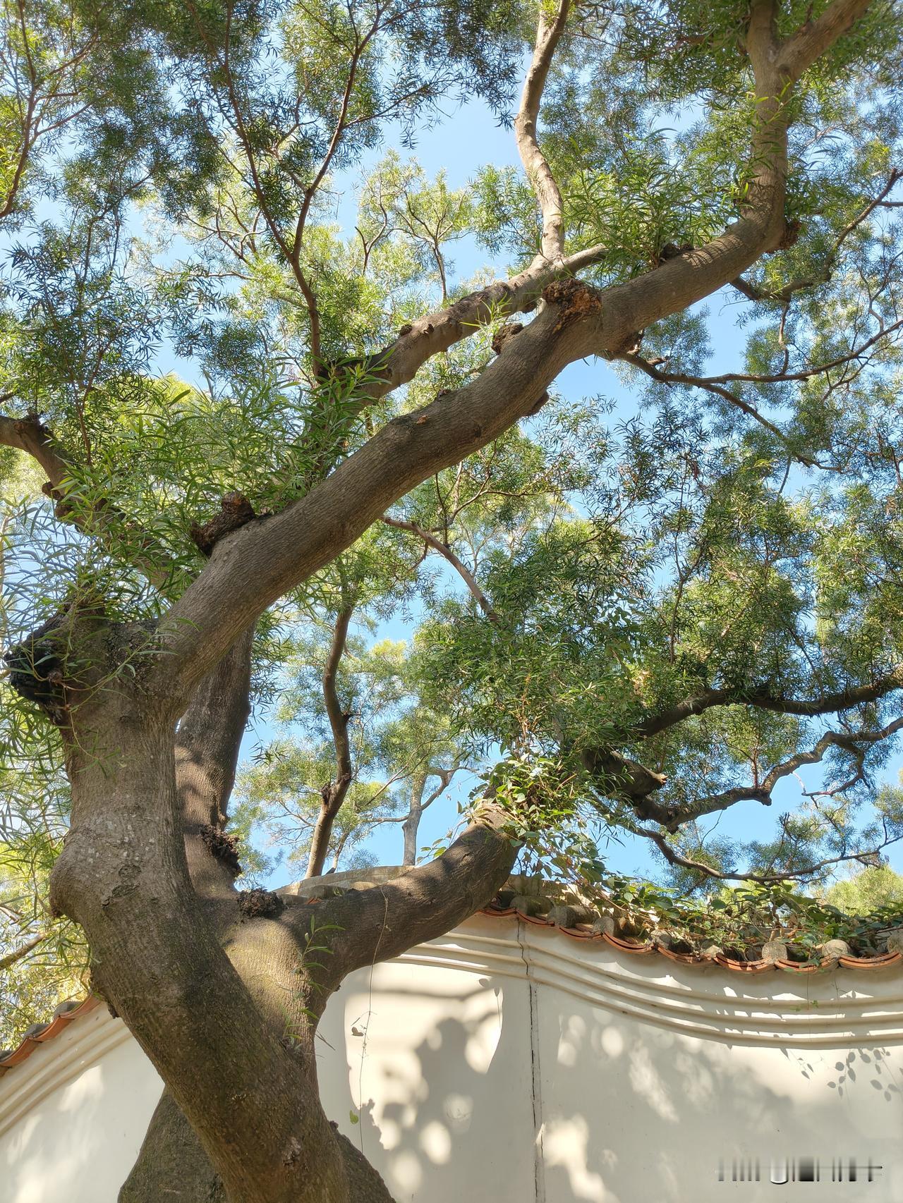 我们要告诉自己：
永远别和那些蠢的人讲道理。
你摆事实他讲歪理，
你讲道理他耍情