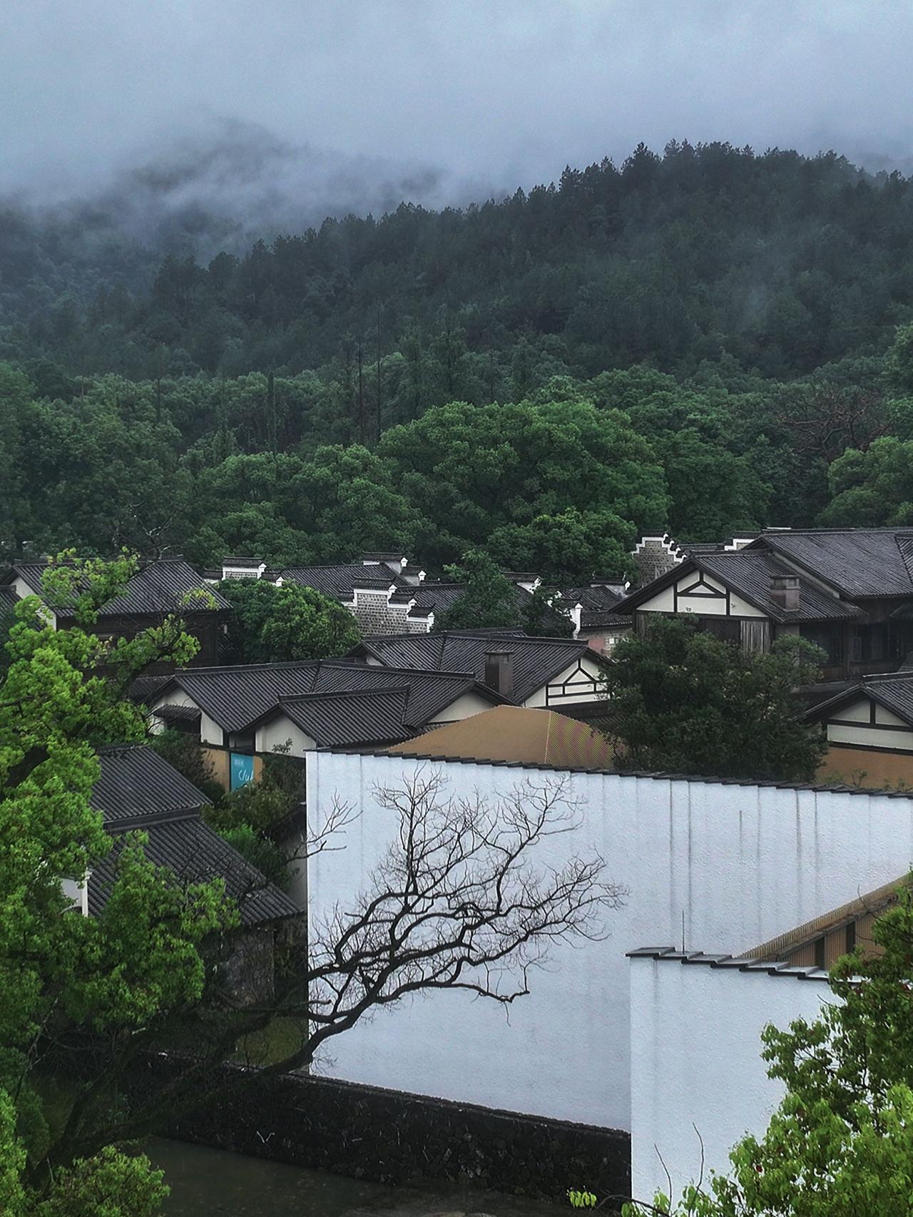 庐山 江西 江南