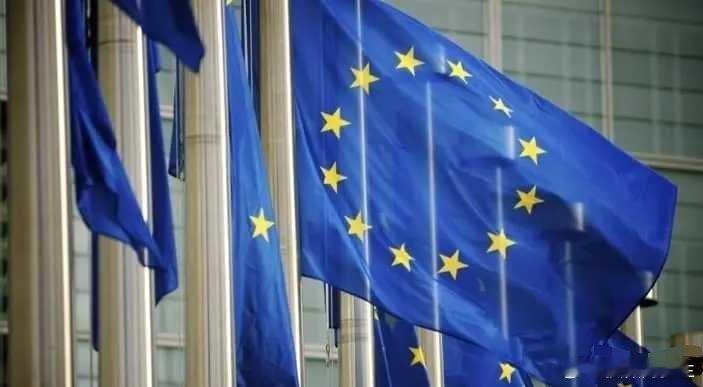 海外新鲜事 欧盟发言人托马斯·雷尼尔表示，美国减少在罗马尼亚和其他欧盟成员国的军