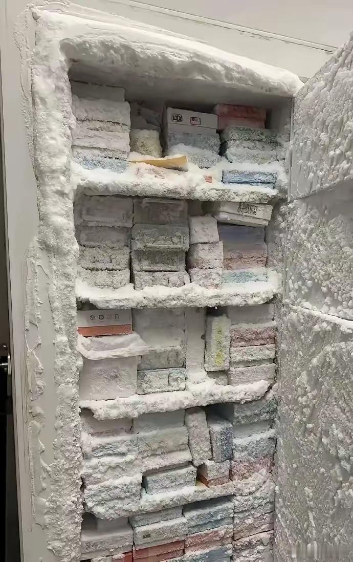 据说，东北的冰箱忘了关门。[二哈] ​​​