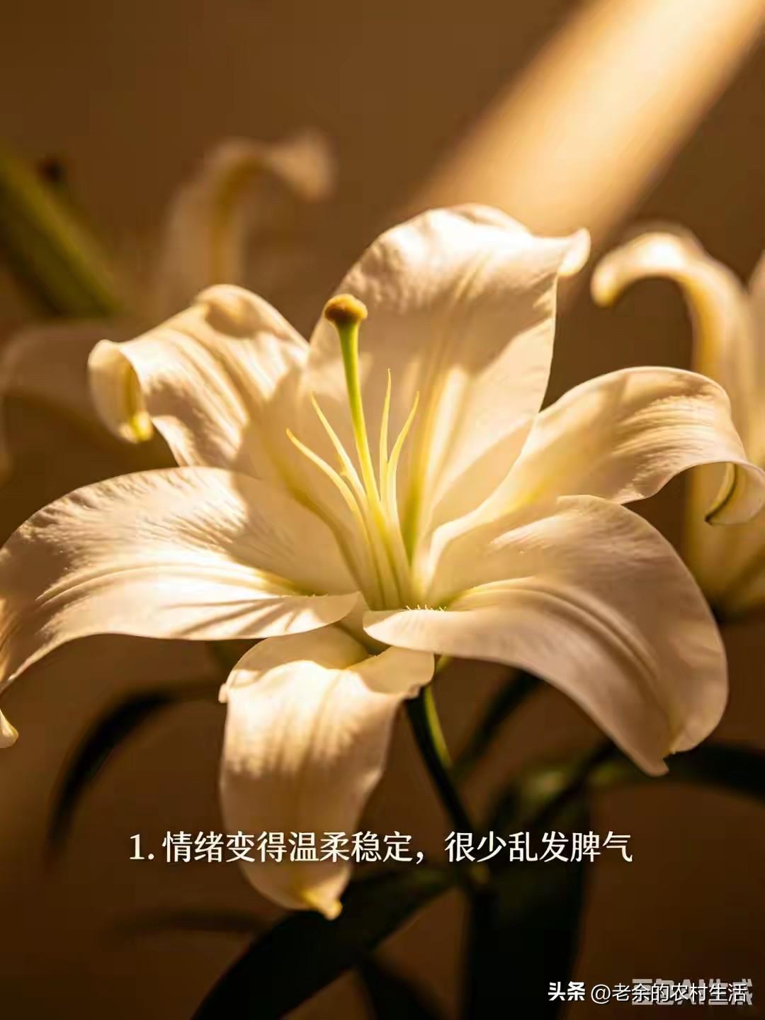 女人的心可以骗人
但是
女人的身体骗不了人
我们可以通过一个女人的外观
就能知道